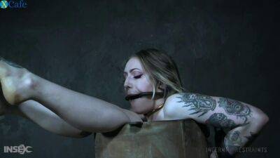 Poor submissive tattooed whore Baby Sid has to suck huge dildo on femdomerotic.com