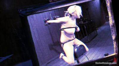 BDSM and sybian didlo for busty blonde haley cummings on femdomerotic.com